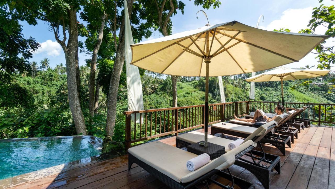 Natura Resort & SPA