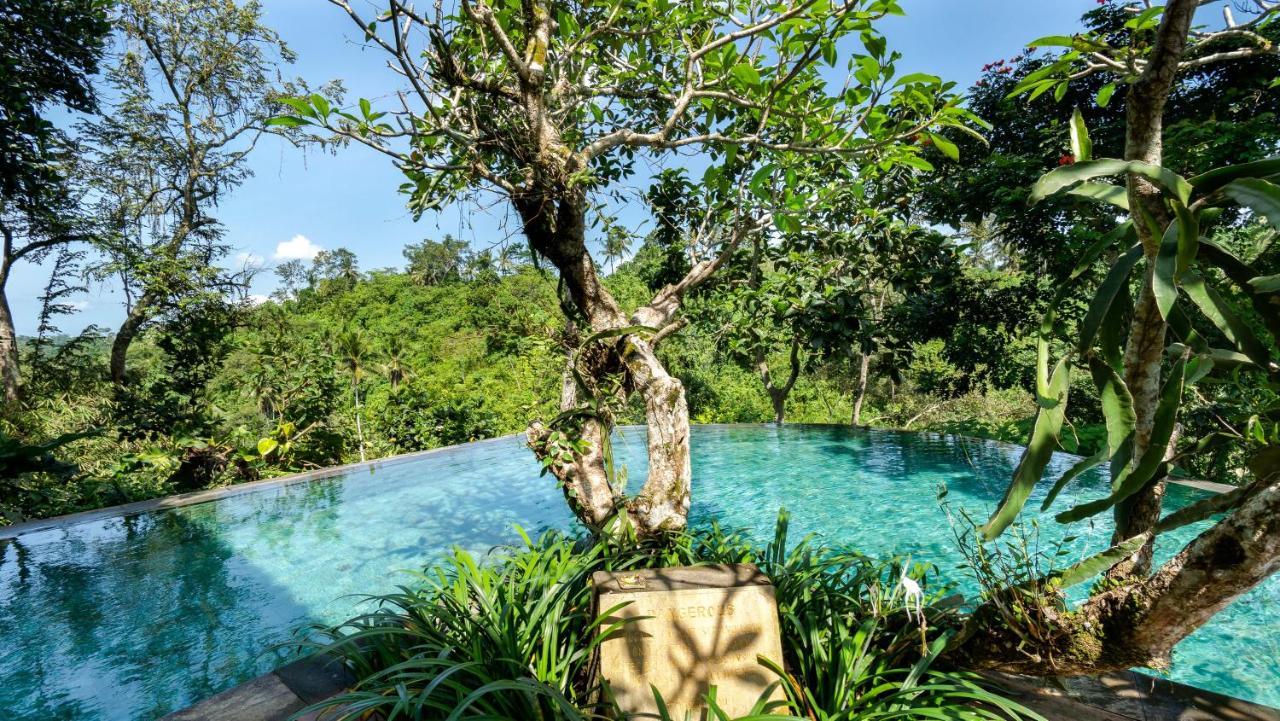 Natura Resort & SPA 1