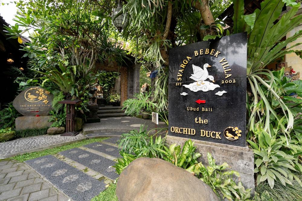 Tepi Sawah Villas