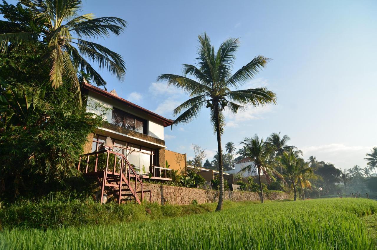 Ubud Green 1