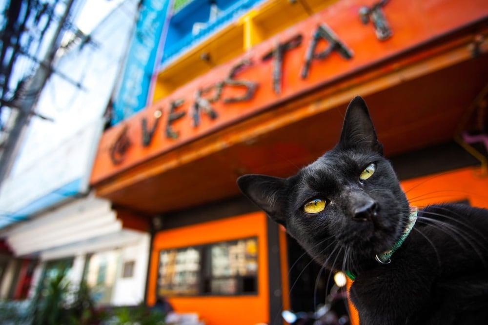 The Overstay Hostel