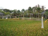 Umae Villa 2