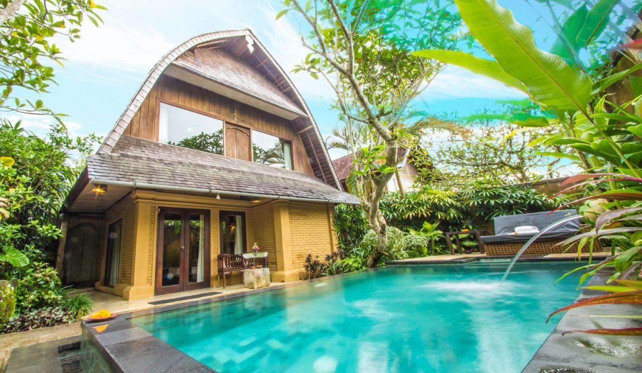 The Sungu Resort & SPA 1
