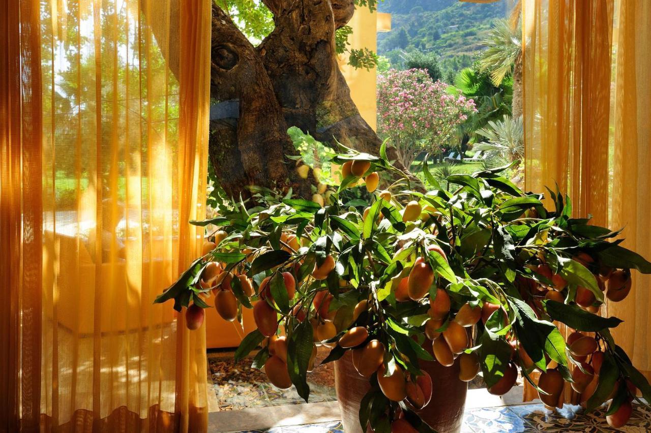 Alberi Del Paradiso 2