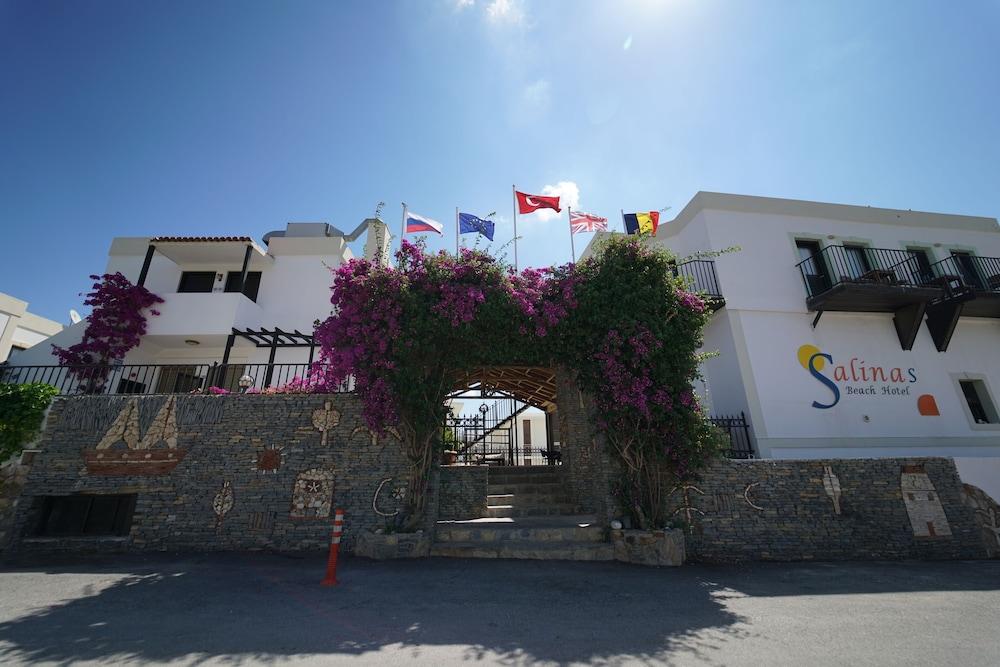Salinas Beach Hotel Bodrum