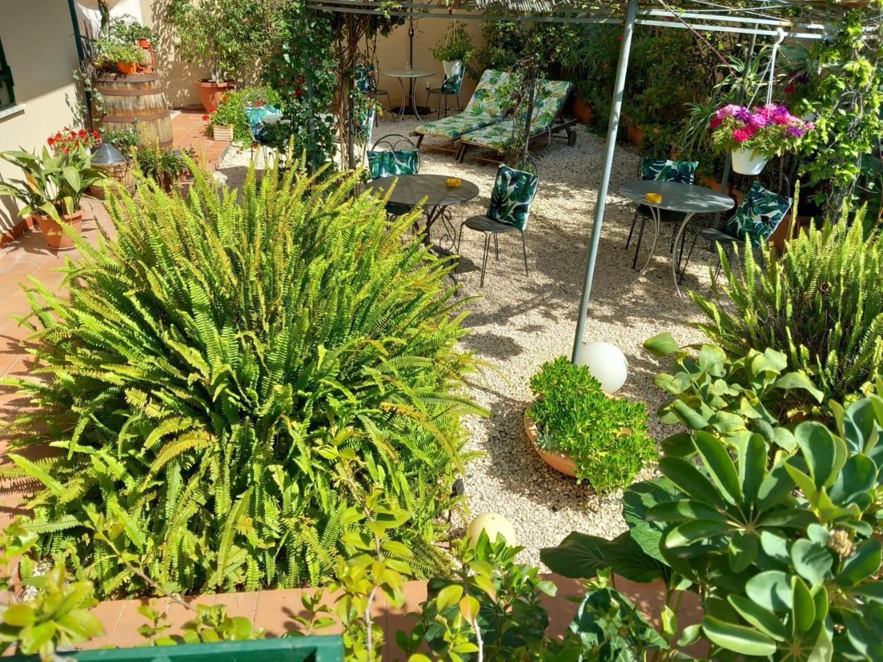 B&B Rosangela
