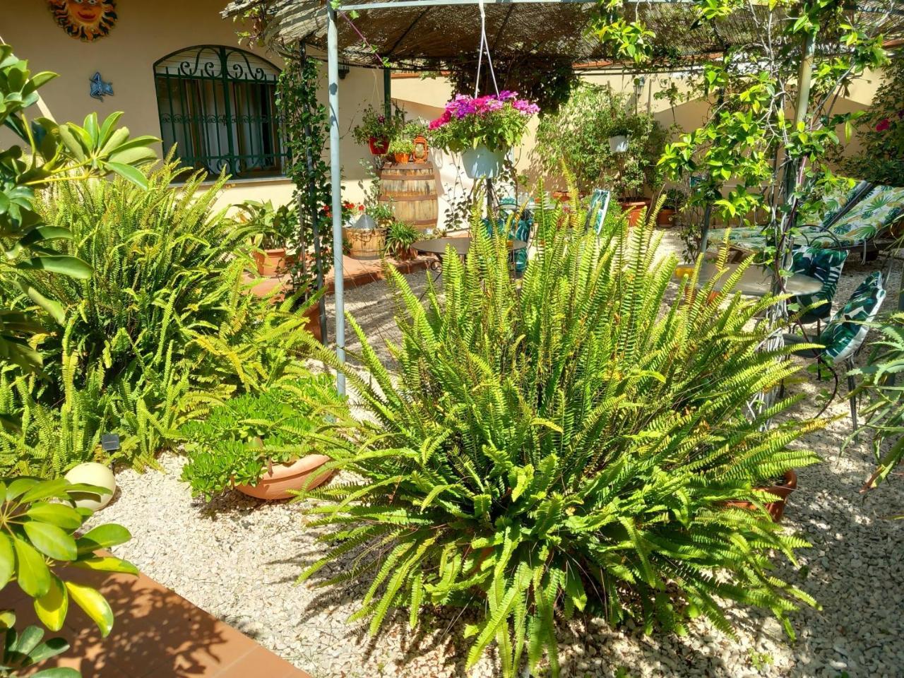 B&B Rosangela 1