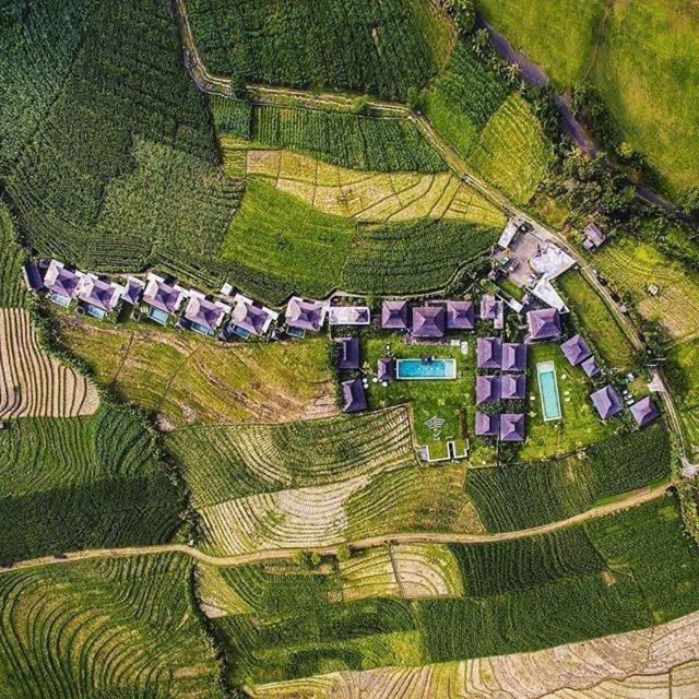 Alami Luxury Villas & Resort