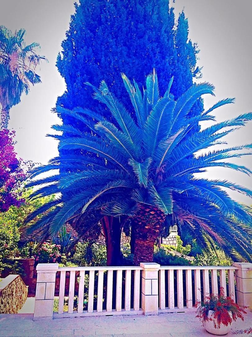 Villa Karolina 1
