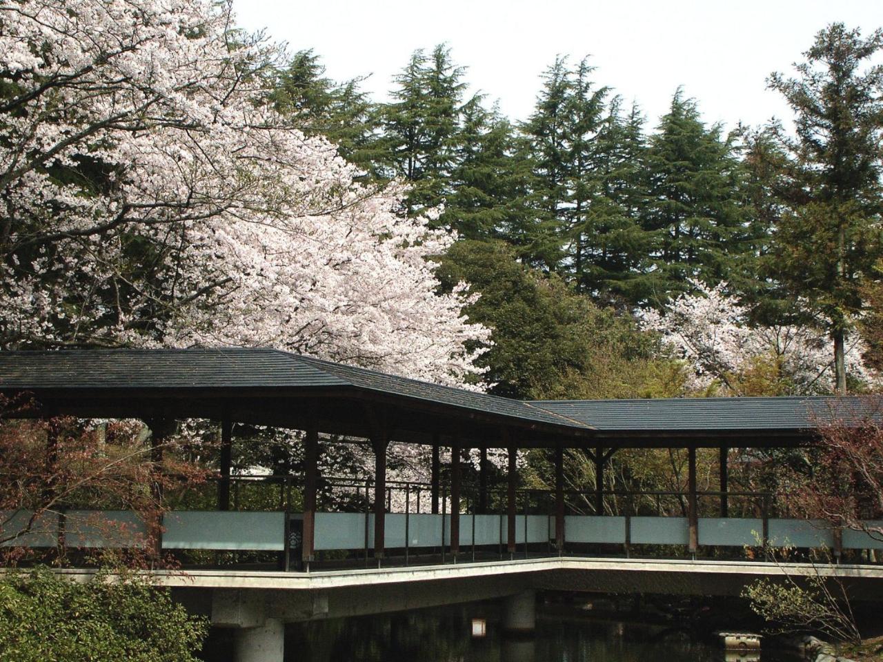 Matsusaki 2