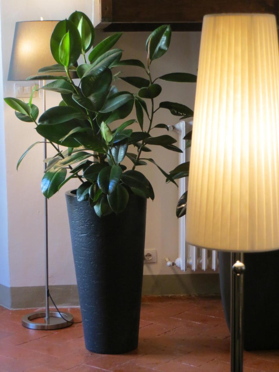 Toscanelli Residenza D'epoca 2