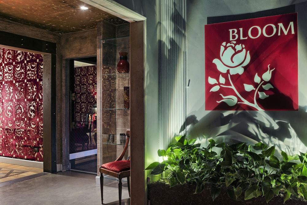 B&B Bloom 1