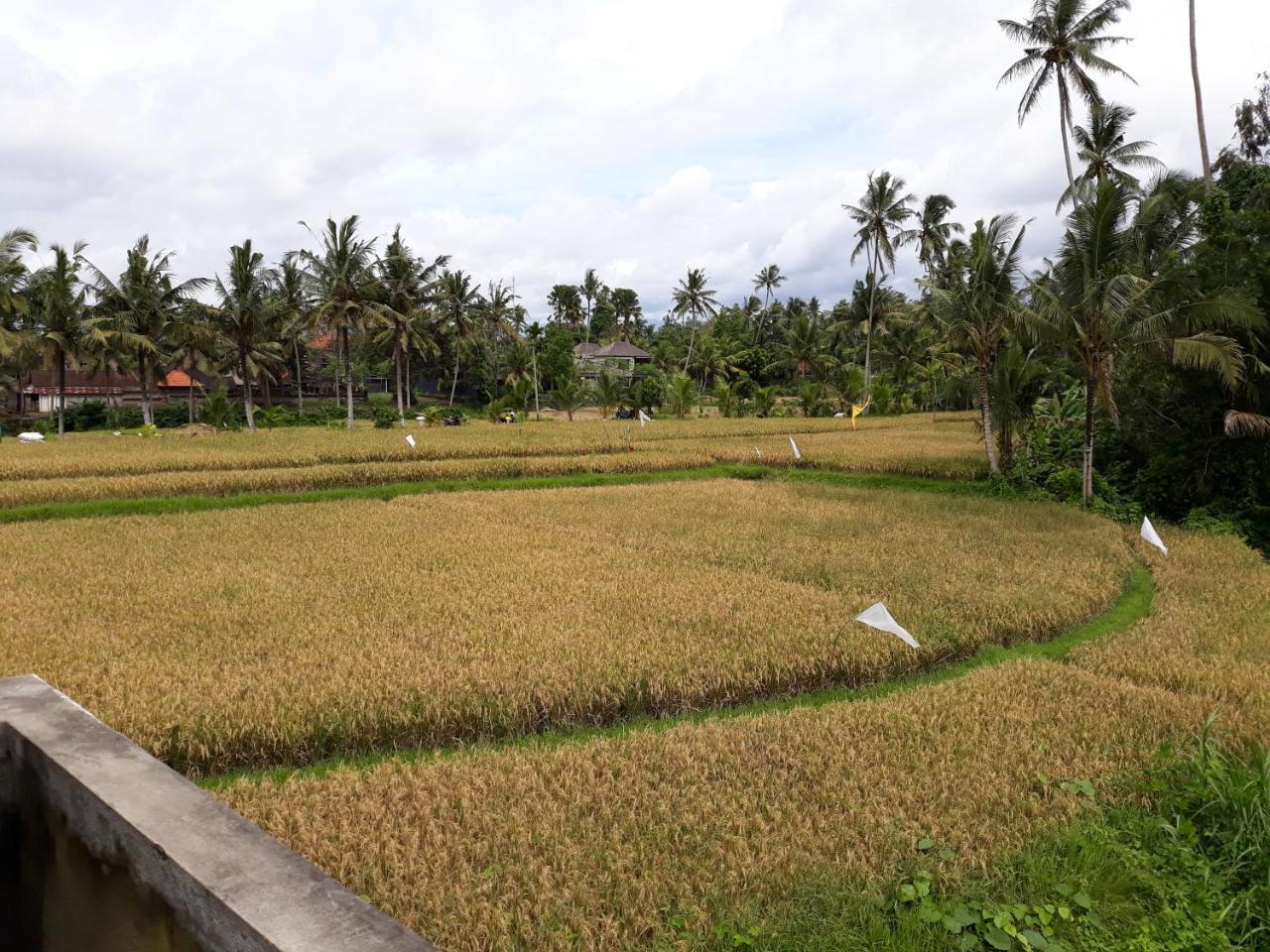 Umah Dangin Guest House 2