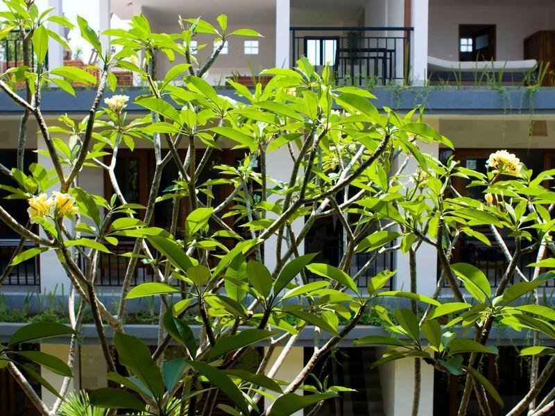 Nani House 2 2