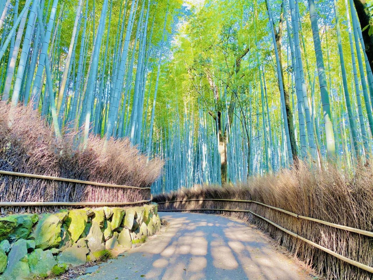 Sun Members Kyoto-Saga