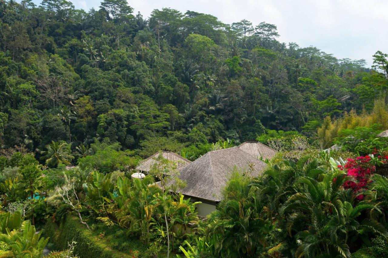 Mandapa a Ritz-Carlton Reserve 2