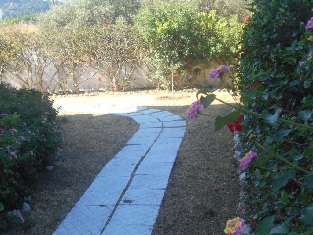 Villa Sofia 2