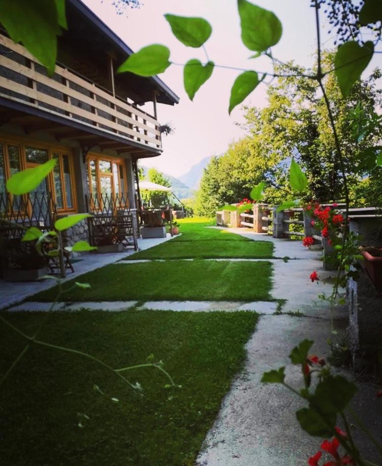 Agriturismo la Selvaggia