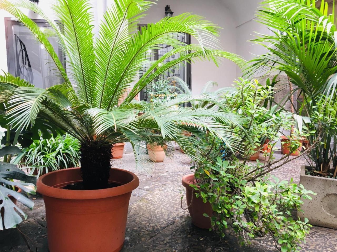 B&B Fiumara (Adults only)