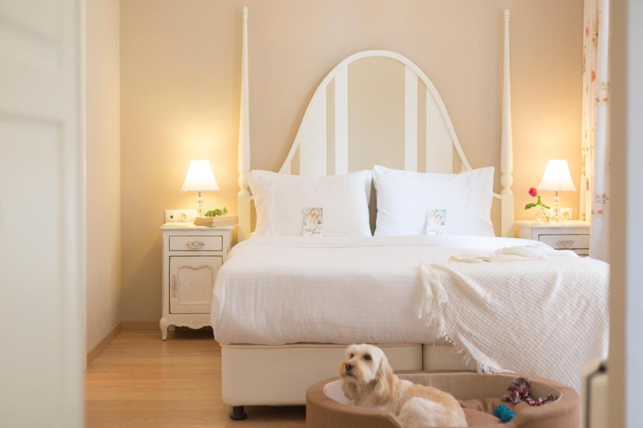 Gatto Perso Luxury Studios & Apartments 1