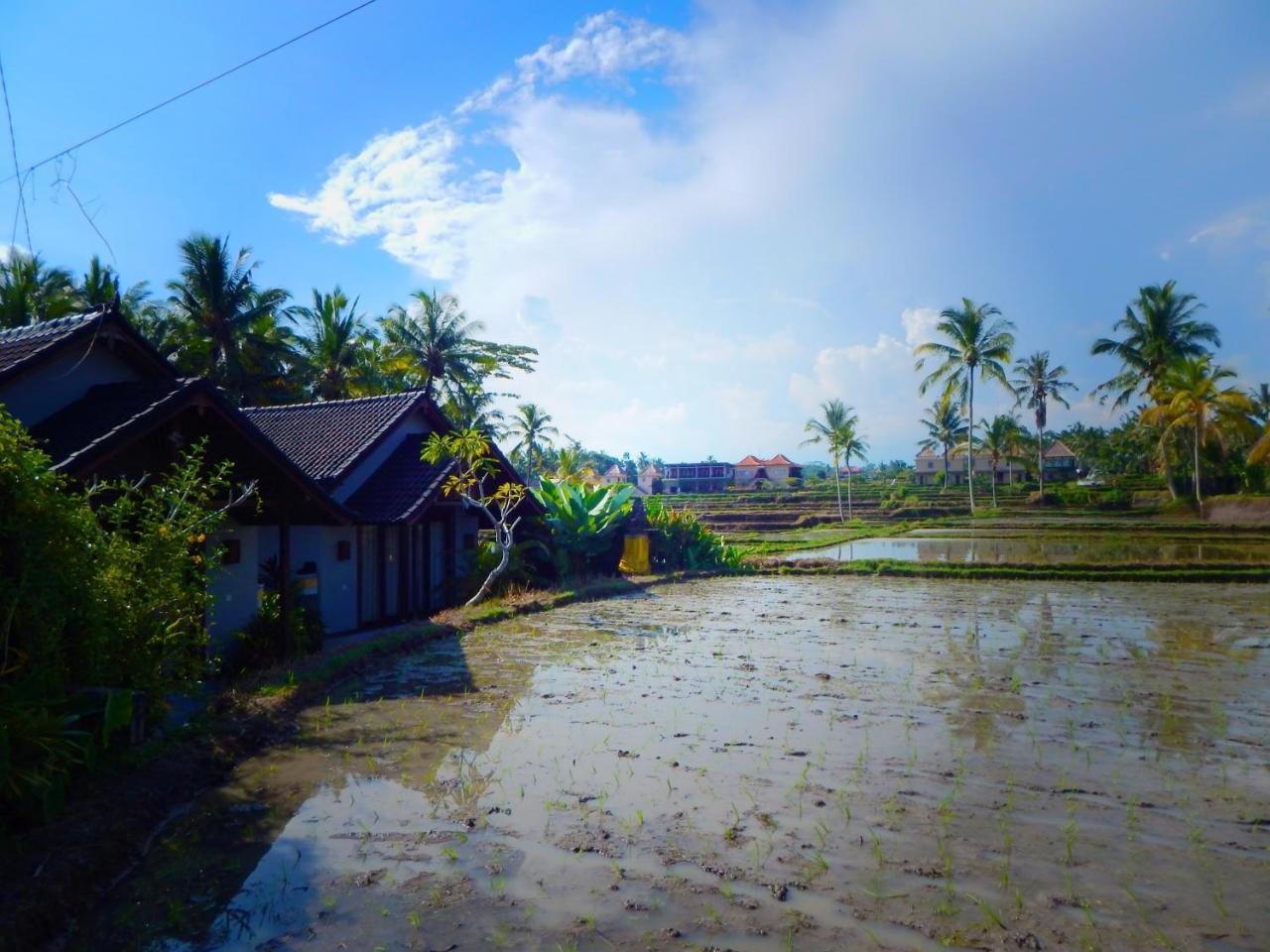 Amaya Cottage Ubud 1