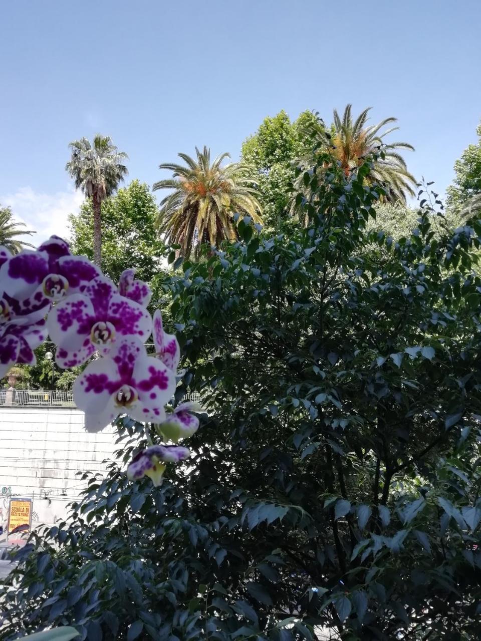 Botanic Charm 2