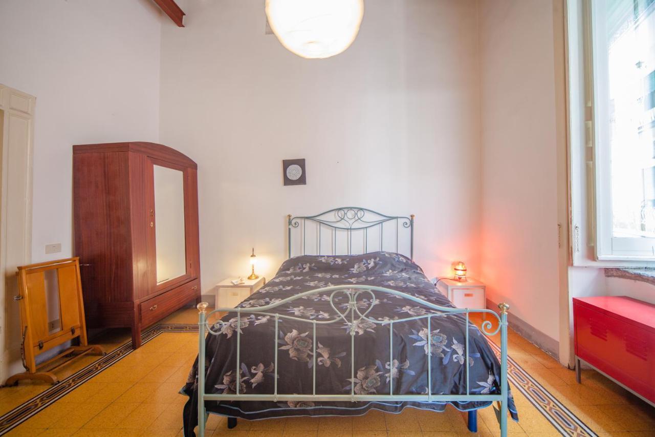 B&B Stella 10 1