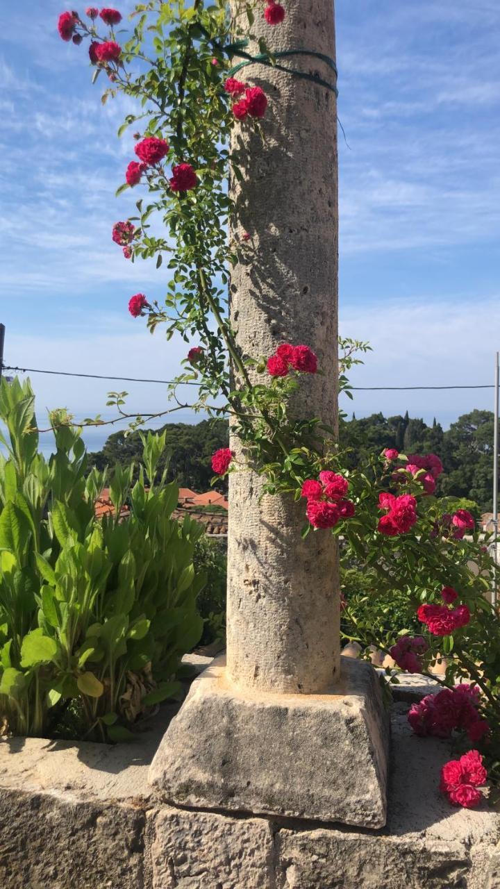 Villa Anica