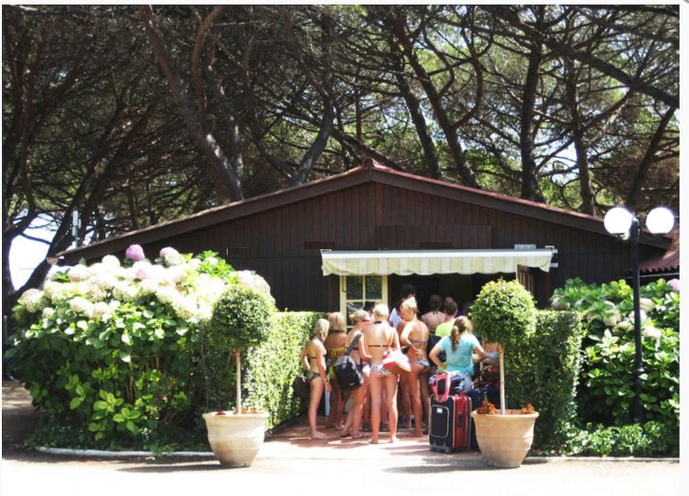Camping Vall D'or