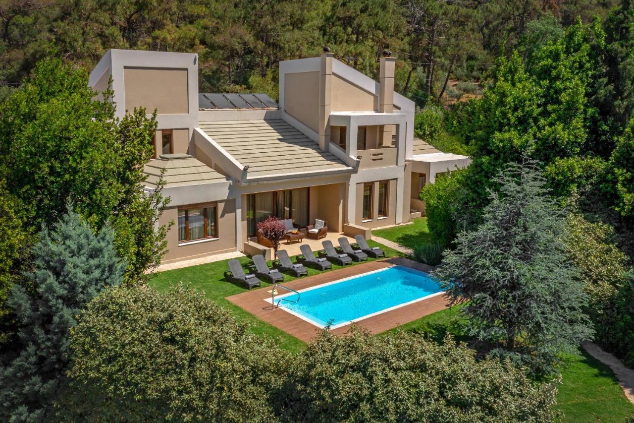 Delta Wellness Villa