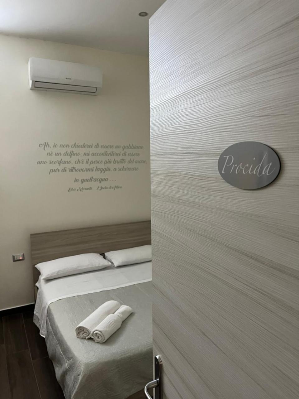 B&B Pisadog