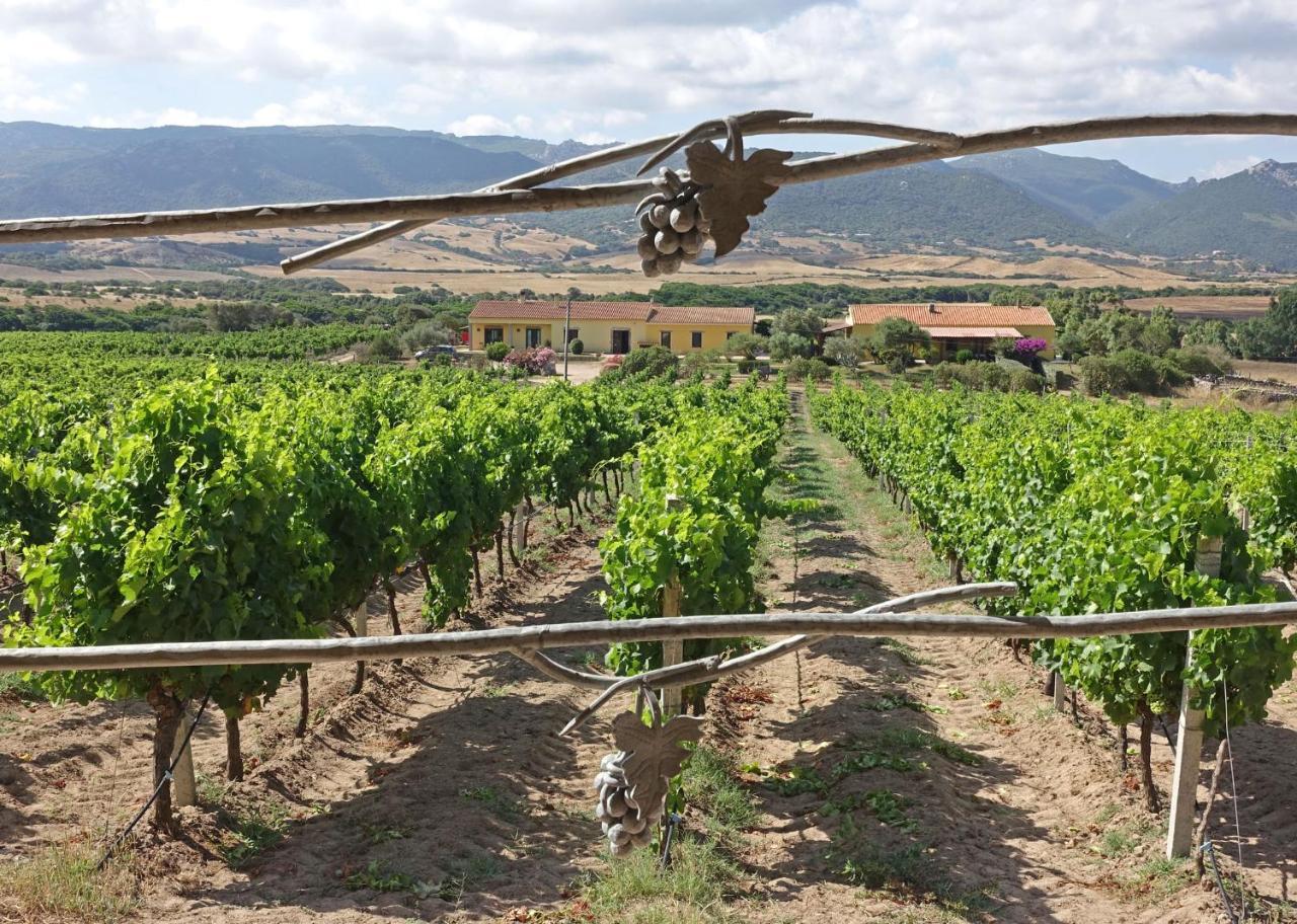 Agriturismo Campesi Casale Tra Le Vigne