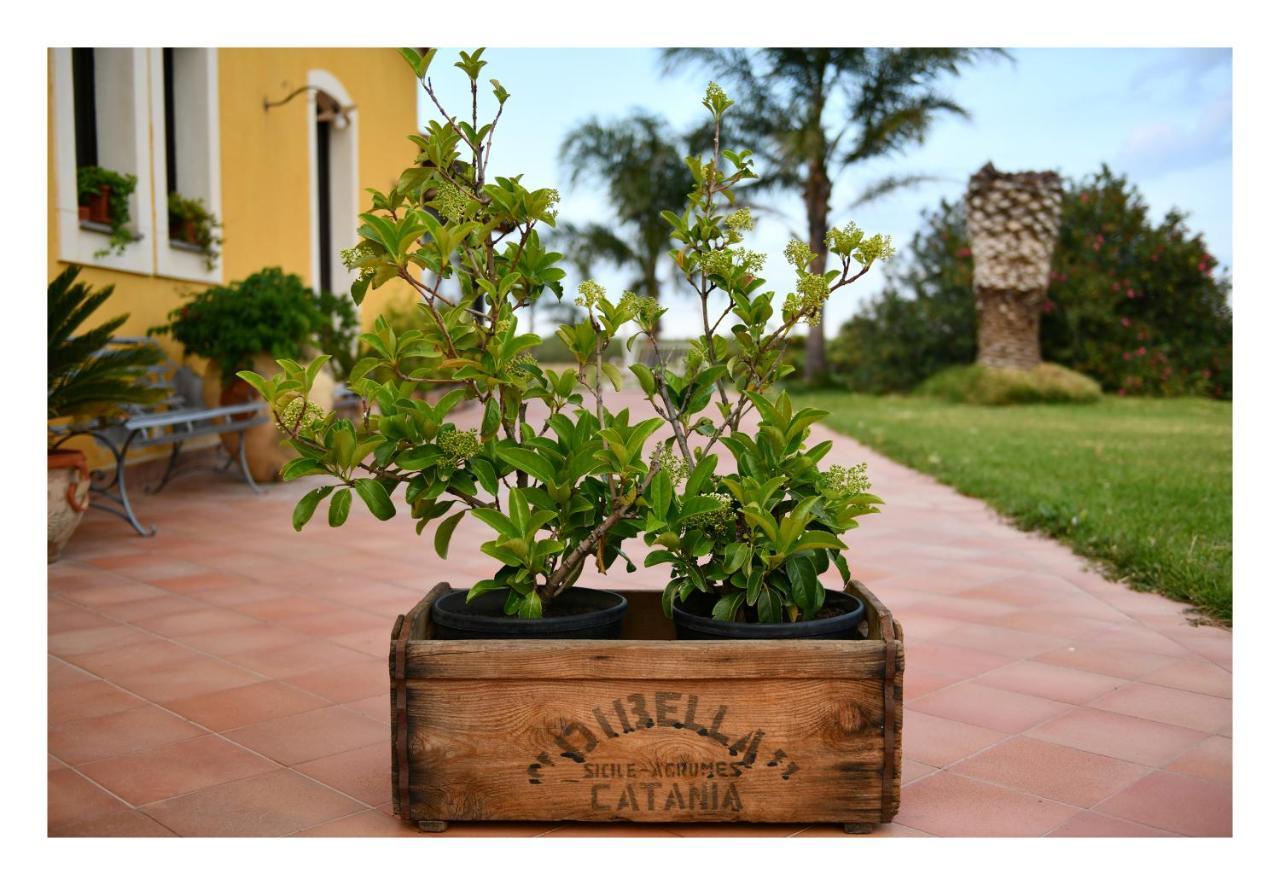 Agriturismo Passitti 2
