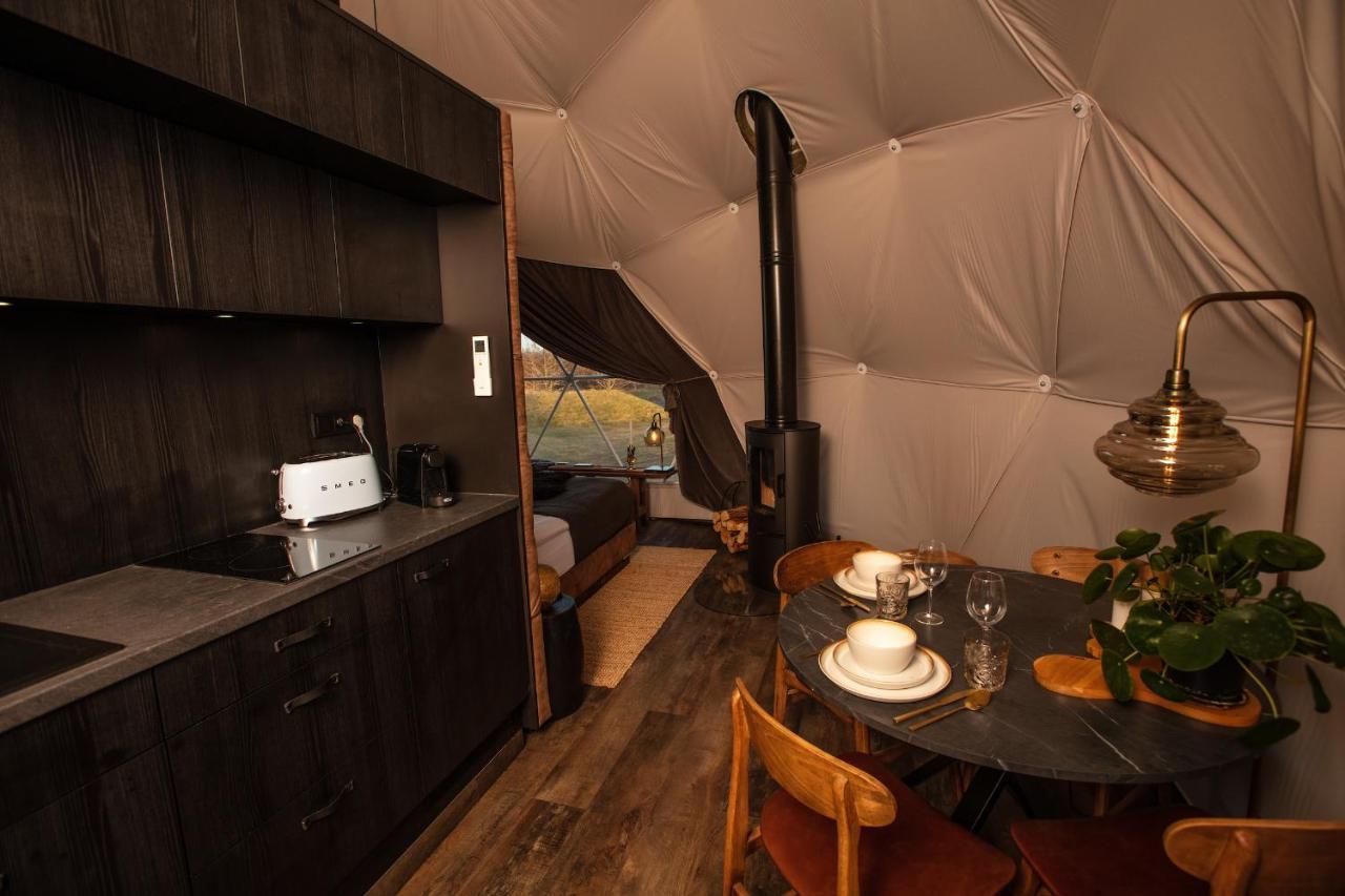 Reykjavik Domes 1