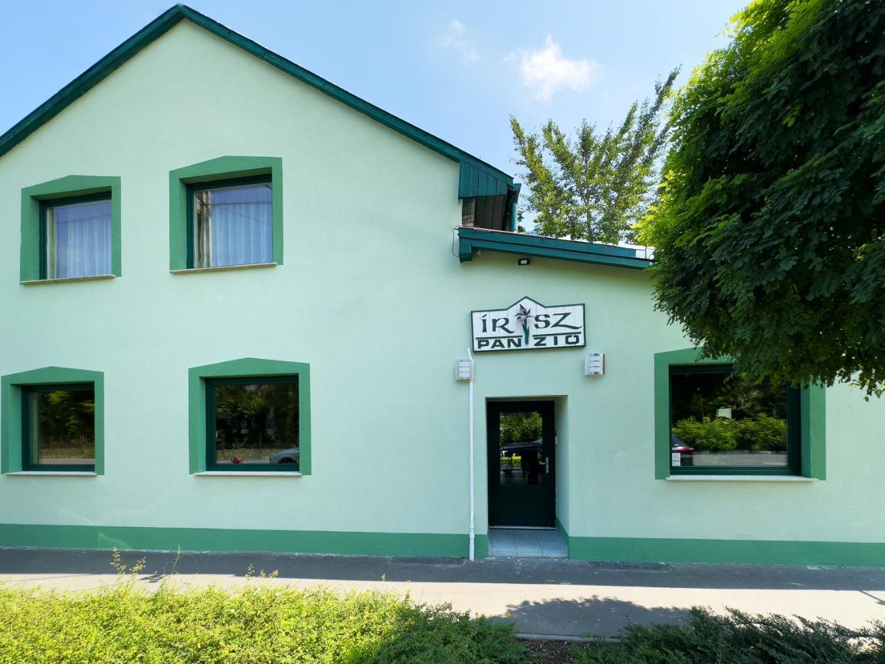 Irisz Panzio