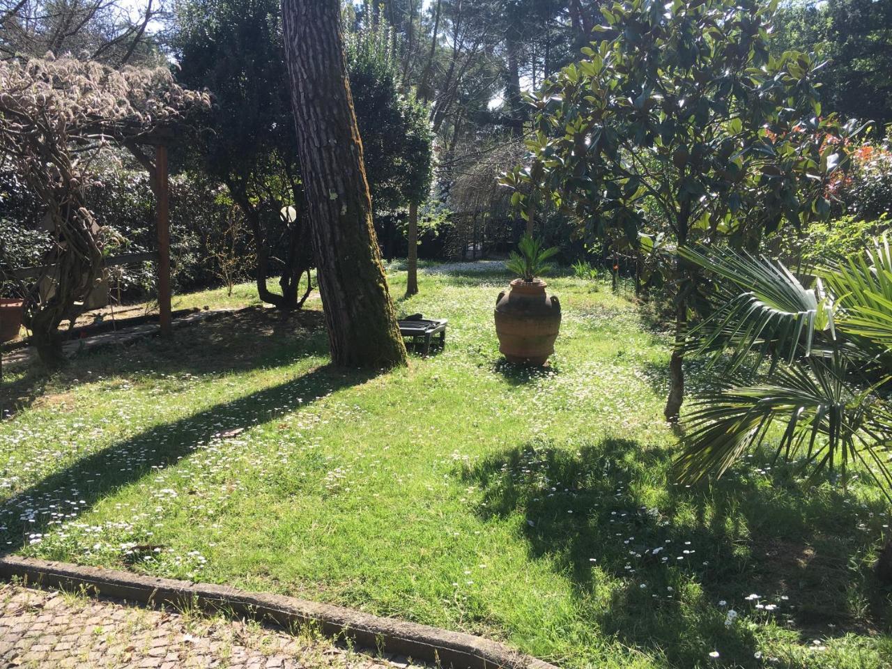 Old Town in the Green: Federico's Apartment.
