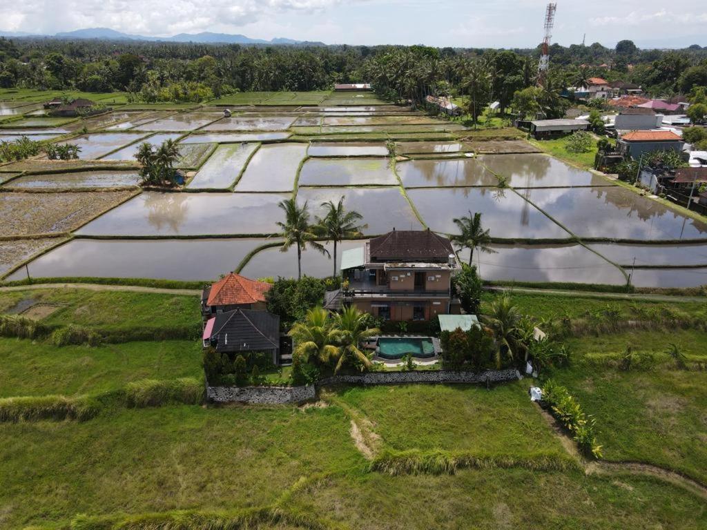 Mancur Guesthouse 2