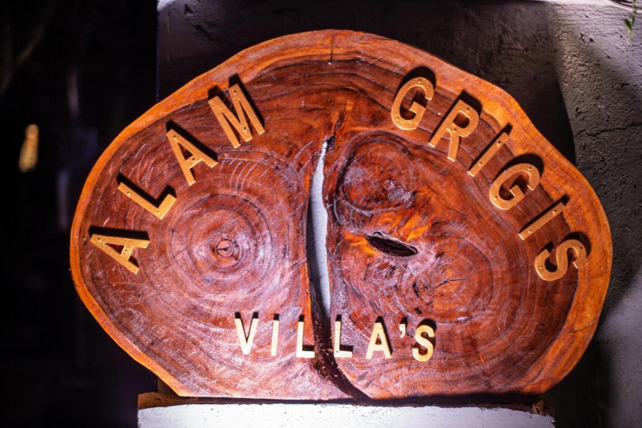 Alam Grigis Ubud 1