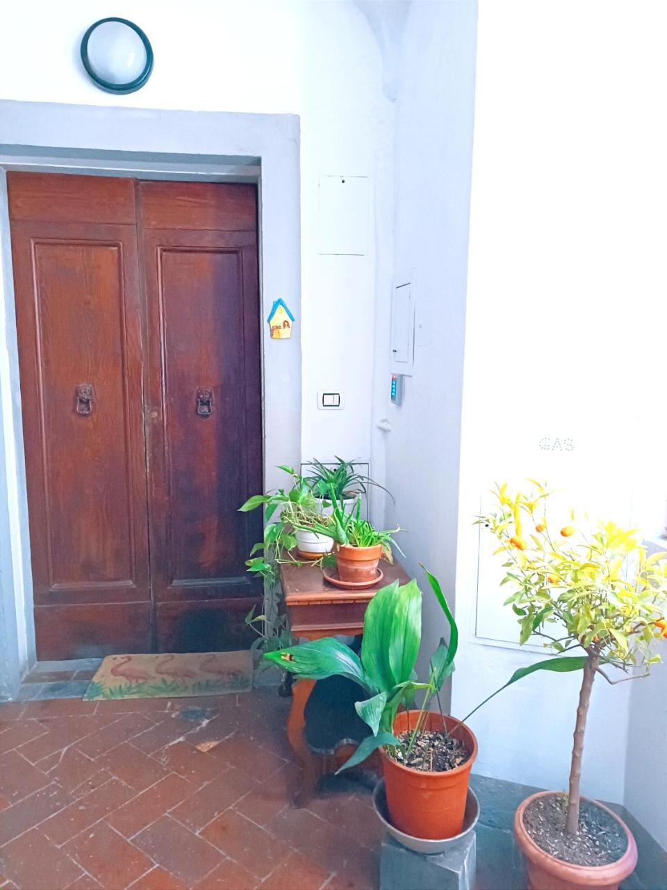 The Smallest Hostel of Florence 2
