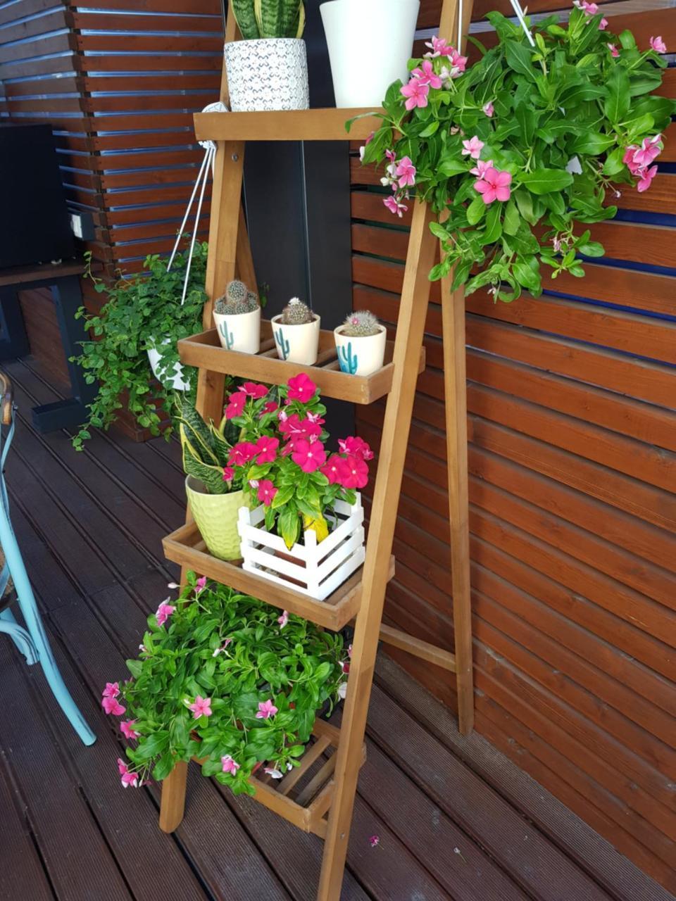 La Terrazza di Carolina 1