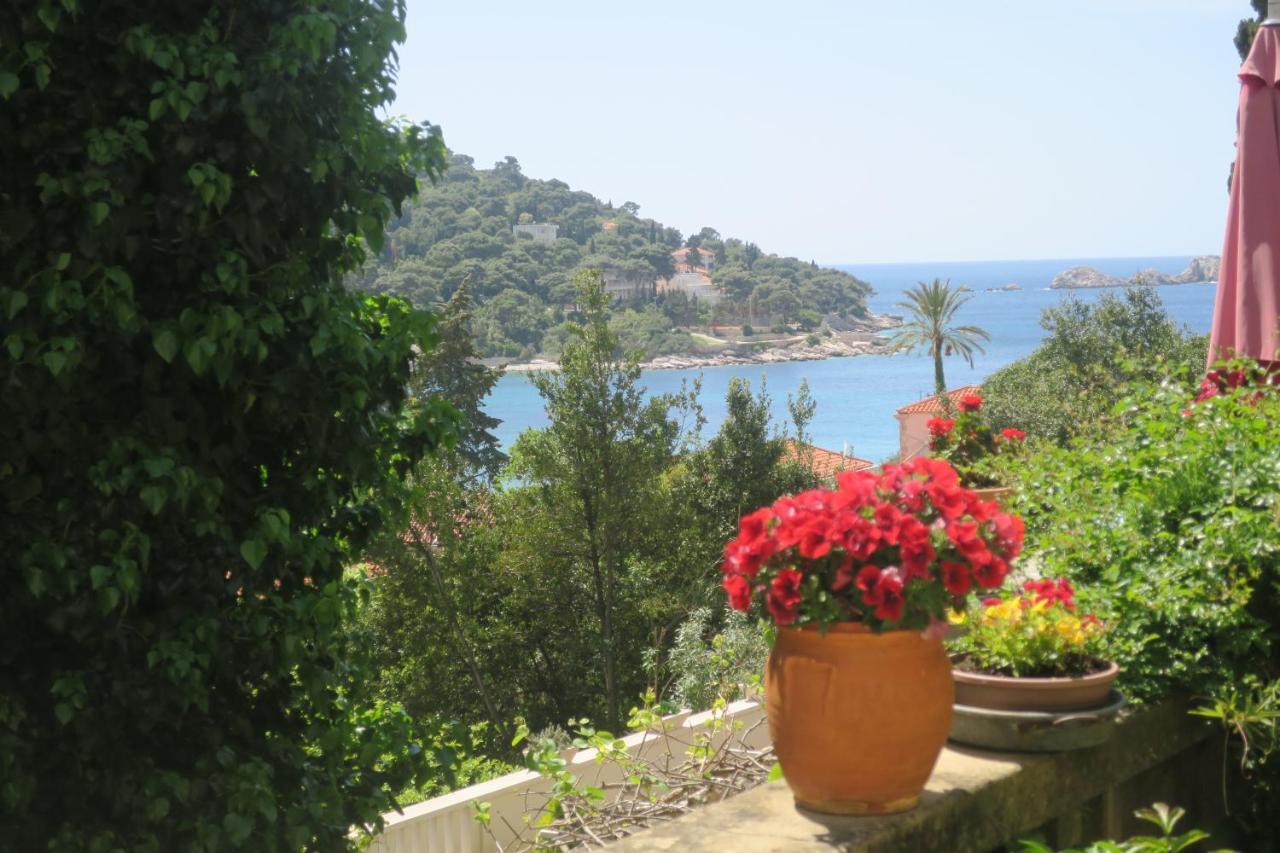 Villa Miomir 2