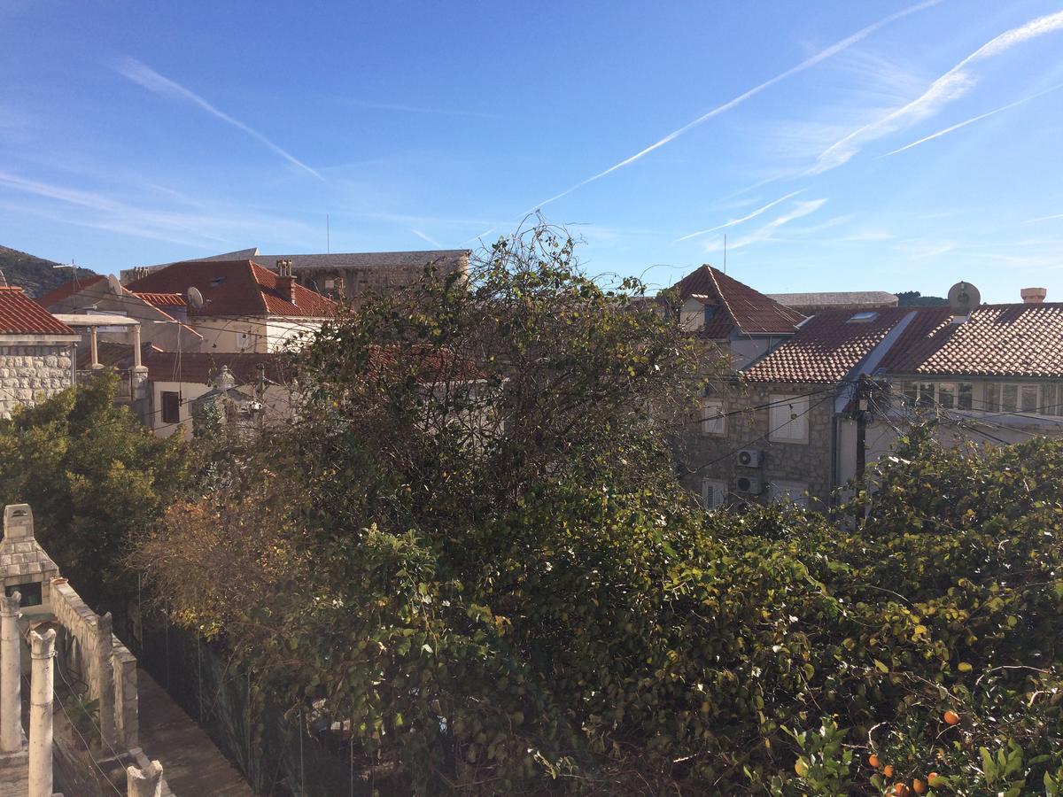 Apartman Lucic C 2