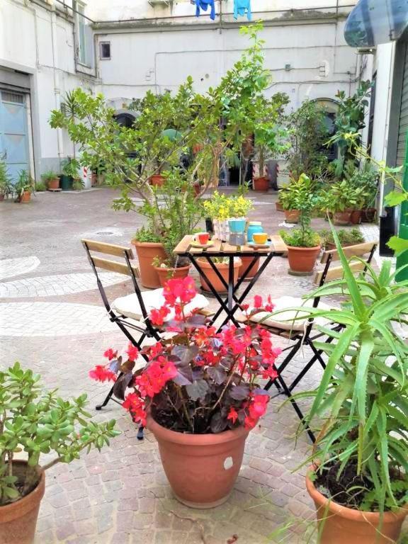 Casa Vacanze "Donna Manu', Tra Stazione Centrale, Metro E Aeroporto Turismo Culturale