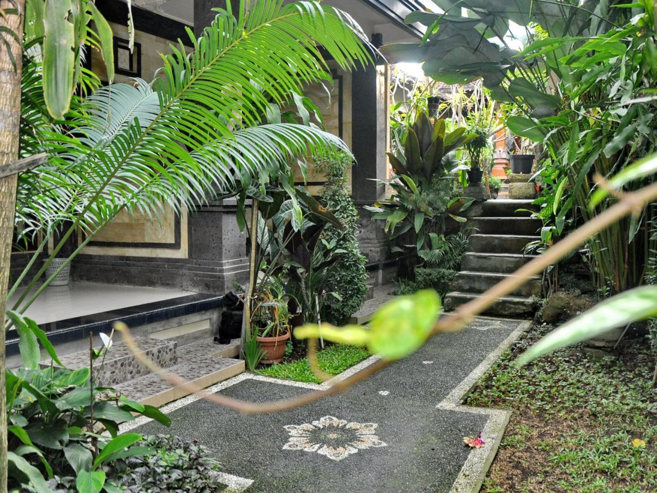 Pancer House 1