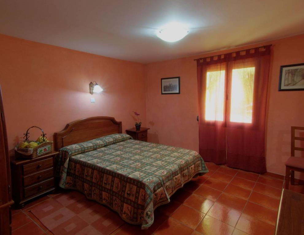 Rural Ocell Francoli