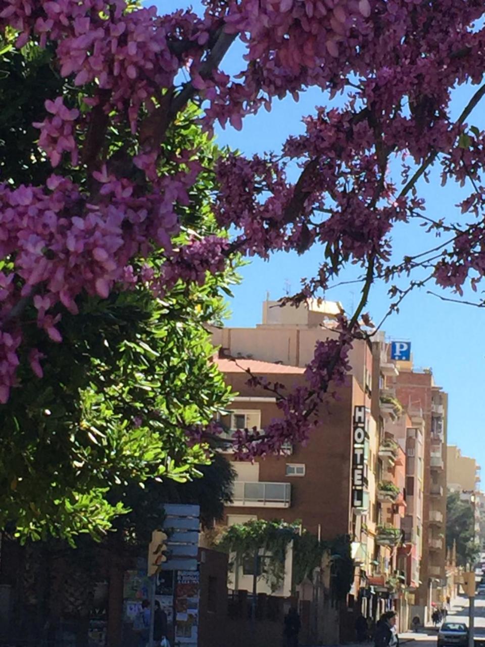 Cosmos Tarragona