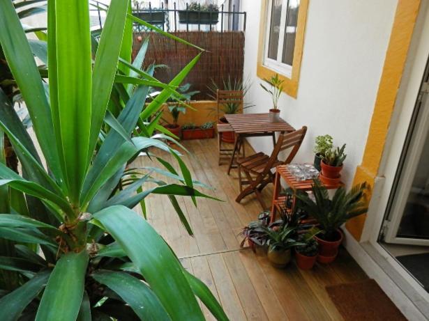 Vintage Terrace with Terrace by Homeful Homes