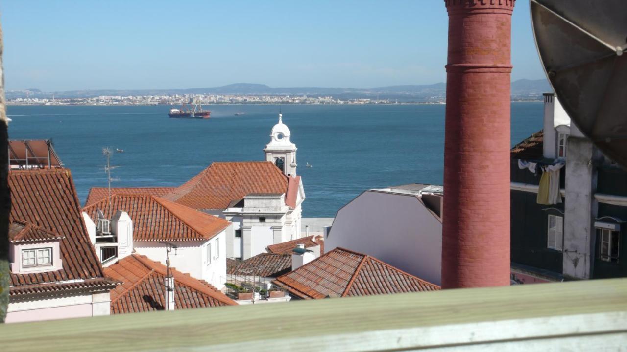 Oliveirinha (Adults Only) 2
