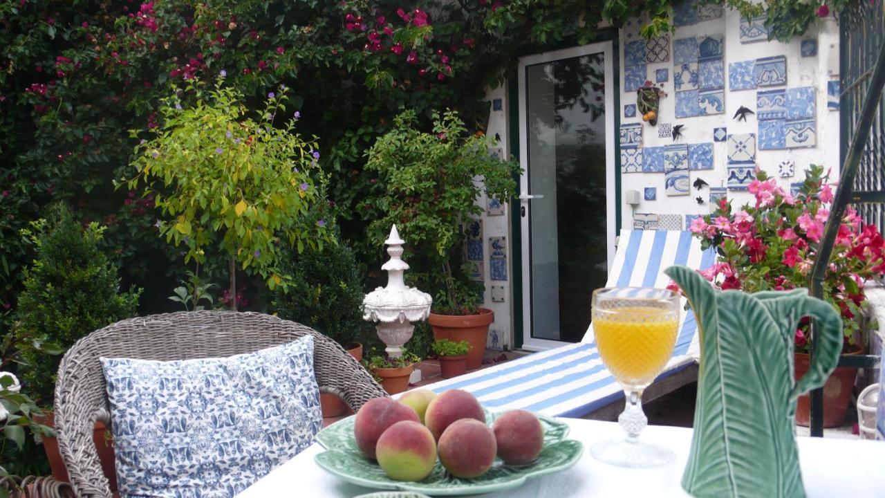 Oliveirinha (Adults Only)