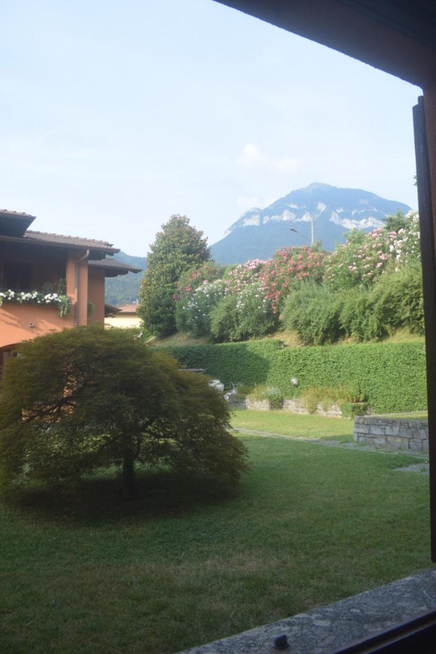 Landscapesilvia 1 Aria 1